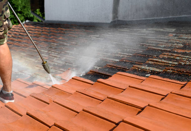Best Sidewalk Pressure Washing  in Pandora, OH
