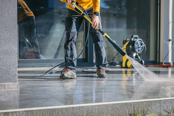 Best Local Pressure Washing Services  in Pandora, OH