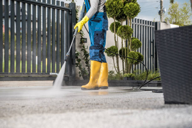 Best Residential Pressure Washing Services  in Pandora, OH